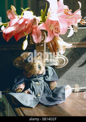 Valigia nera vintage polverosa con fiori all'interno Foto Stock