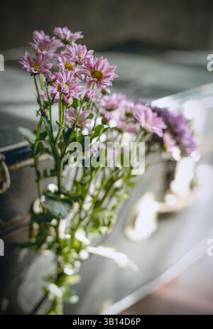 Valigia nera vintage polverosa con fiori all'interno Foto Stock