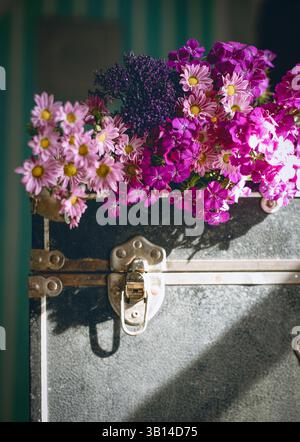 Valigia nera vintage polverosa con fiori all'interno Foto Stock