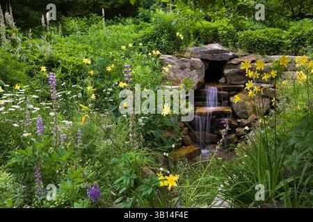 Cascata artificiale in pietra naturale con Lupinus blu - Lupine, Hemerocallis gialli - gialli e Leucanthemum x superbum - margherite Shasta in giardino. Foto Stock