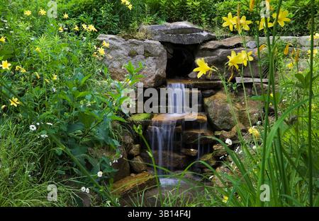 Cascata artificiale in pietra naturale con margherite gialle Hemerocallis - gialli, Leucanthemum x superbum - margherite Shasta nel giardino di campagna in estate. Foto Stock