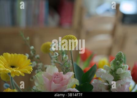 Composizione del piano portapaziente con una combinazione di rose e margherite. La luce della finestra sullo sfondo migliora l'effetto luminoso. Foto Stock