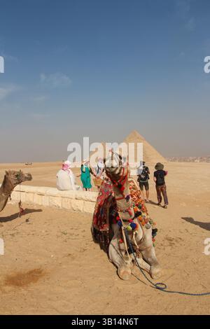 Giza, Egitto - 19 ottobre 2023: Turisti e cammelli intorno alle piramidi di Giza in una giornata di sole Foto Stock