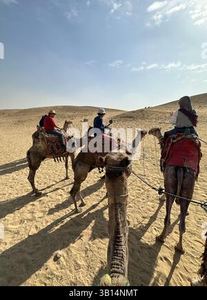 Giza, Egitto - 19 ottobre 2023: Giro turistico a dorso di cammello intorno alle piramidi di Giza in una giornata di sole Foto Stock