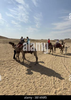 Giza, Egitto - 19 ottobre 2023: Giro turistico a dorso di cammello intorno alle piramidi di Giza in una giornata di sole Foto Stock