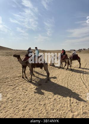 Giza, Egitto - 19 ottobre 2023: Giro turistico a dorso di cammello intorno alle piramidi di Giza in una giornata di sole Foto Stock
