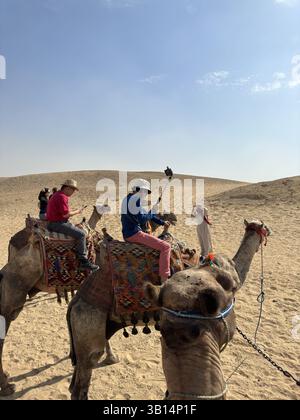 Giza, Egitto - 19 ottobre 2023: Giro turistico a dorso di cammello intorno alle piramidi di Giza in una giornata di sole Foto Stock