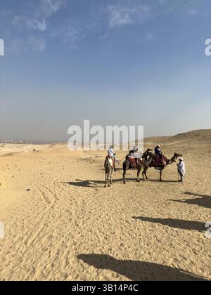 Giza, Egitto - 19 ottobre 2023: Giro turistico a dorso di cammello intorno alle piramidi di Giza in una giornata di sole Foto Stock