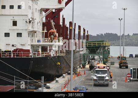 LYTTLETON, NUOVA ZELANDA, 21 NOVEMBRE 2019: I camion trasportano il carico dal Powan (IMO: 9721578, MMSI 477027600), una nave da carico costruita nel 2016 e curr Foto Stock