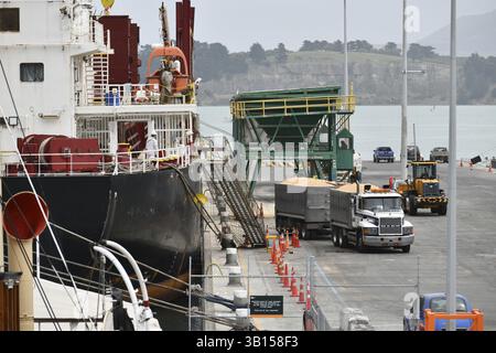 LYTTLETON, NUOVA ZELANDA, 21 NOVEMBRE 2019: I camion trasportano il carico dal Powan (IMO: 9721578, MMSI 477027600), una nave da carico costruita nel 2016 e curr Foto Stock