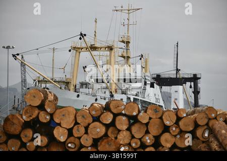 LYTTLETON, NUOVA ZELANDA, 21 NOVEMBRE 2019: Pinus radiata tronchi in attesa di esportare il molo presso il porto di Lyttleton Foto Stock