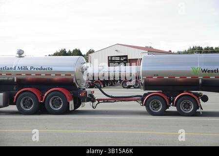 HOKITIKA, NUOVA ZELANDA, 27 GIUGNO 2016: Le petroliere del latte parcheggiate presso lo stabilimento Westland Milk Products di Hokitika, nuova Zelanda, Oceania Foto Stock