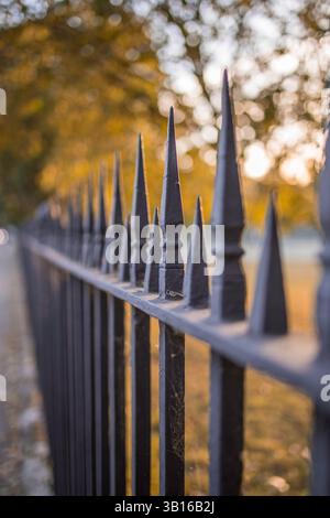 Immagine di un decorativo in ghisa recinzione battuto con artistiche forgiatura. Guardrail metallico vicino. Foto Stock