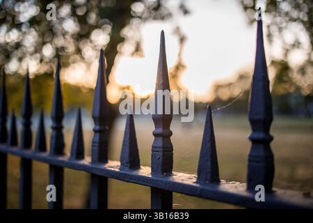 Immagine di un decorativo in ghisa recinzione battuto con artistiche forgiatura. Guardrail metallico vicino. Foto Stock