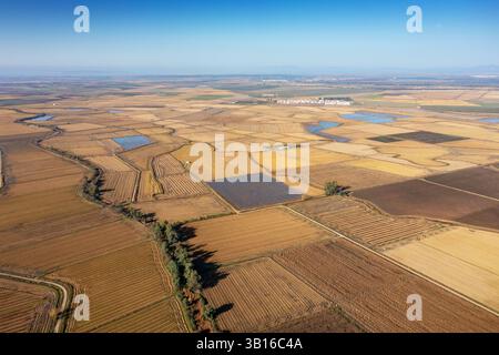 Campi di riso nella pianura del Rio Gargaligas, vista aerea, Spagna, Estremadura, Obando Foto Stock