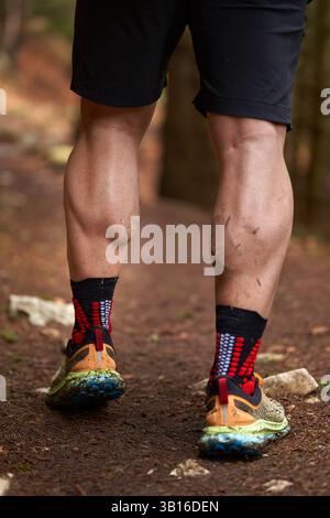 Vista ravvicinata delle gambe e delle scarpe da trail running di un uomo muscoloso mentre cammina lungo un sentiero nella foresta Foto Stock