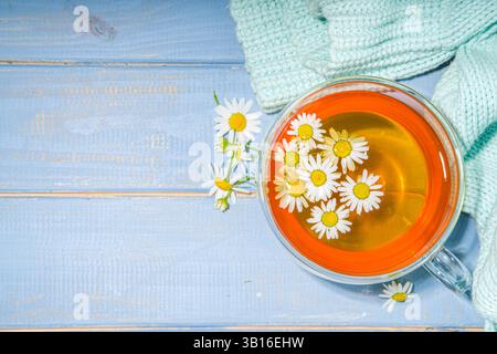 Tazza di tè alla camomilla con bouquet di margherita camomilla, spazio copia di sfondo blu in legno. Bevanda fredda biologica a base di erbe. Foto Stock