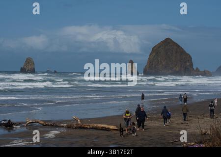 CANNON BEACH, OREGON, USA - 12 aprile 2025: I visitatori camminano lungo le spiagge sabbiose di Cannon Beach sotto un cielo nuvoloso, con l'iconica Haystack Rock in piedi. Foto Stock