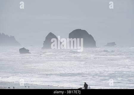 CANNON BEACH, OREGON, USA - 12 aprile 2025: I visitatori camminano lungo le spiagge sabbiose di Cannon Beach sotto un cielo nuvoloso, con l'iconica Haystack Rock in piedi. Foto Stock