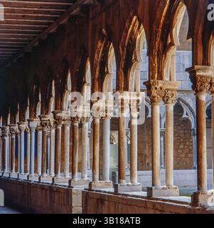 Claustro del Convento de Santo Domingo (Sant Domènec) de Girona, siglo XIV Foto Stock
