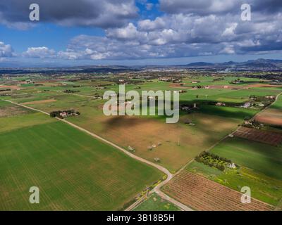 Es Pla de Llodrà Countryside, Manacor, Maiorca, Isole Baleari, Spagna. Foto Stock