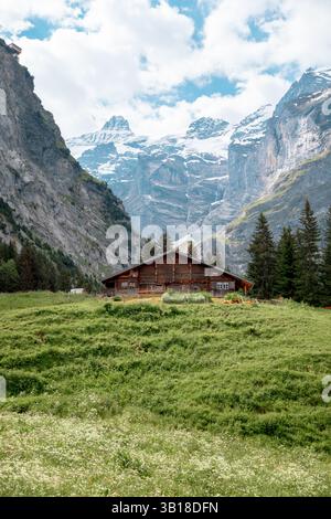 Tradizionale chalet alpino in legno circondato da prati lussureggianti e cime di montagna a Grindelwald, Svizzera, con le maestose Alpi Bernesi Foto Stock