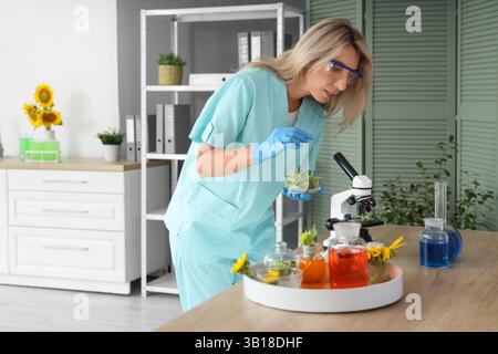 Scienziata donna con matracci di campioni e germogli di girasole che lavora in laboratorio Foto Stock