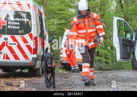 Große Suchaktion mit zahlreichen Rettungshunden aus ganz NRW Großeinsatz am Freitagabend gegen 18 Uhr in einem Waldgebiet zwischen Wuppertal-Cronenberg und Remscheid-Hasten Ein Zeuge hatte zuvor einen älteren, offensichtlich verwirrten, Herrn gemeldet, welcher auf Ansprache zuvatte reitert reichtert. Weil die Polizei mit Streifenwagen und auch mit einem Polizeihubschrauber den Mann nicht finden konnte alarmierten die Beamten am Freitagabend die Hilfsorganizationen Deutsches Rotes Kreuz und Johanniter Unfallhilfe, welche mit einem Großaufgebot von Rettungshunden aus dem ganzen Land anrückten. Die su Foto Stock