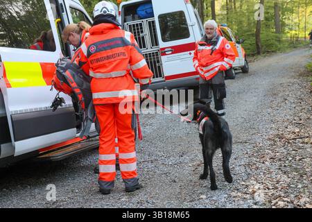 Große Suchaktion mit zahlreichen Rettungshunden aus ganz NRW Großeinsatz am Freitagabend gegen 18 Uhr in einem Waldgebiet zwischen Wuppertal-Cronenberg und Remscheid-Hasten Ein Zeuge hatte zuvor einen älteren, offensichtlich verwirrten, Herrn gemeldet, welcher auf Ansprache zuvatte reitert reichtert. Weil die Polizei mit Streifenwagen und auch mit einem Polizeihubschrauber den Mann nicht finden konnte alarmierten die Beamten am Freitagabend die Hilfsorganizationen Deutsches Rotes Kreuz und Johanniter Unfallhilfe, welche mit einem Großaufgebot von Rettungshunden aus dem ganzen Land anrückten. Die su Foto Stock