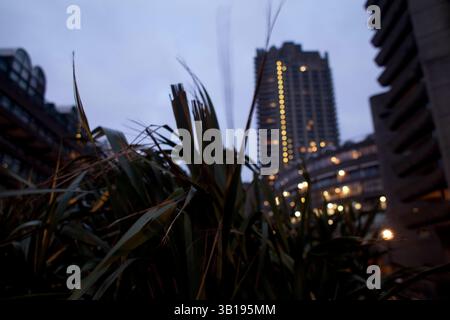01 gennaio 2000 - Londra, Regno Unito - il complesso abitativo Barbican Estate, noto semplicemente come "Barbican", è situato in un'area che è stata gravemente bombardata durante la seconda guerra mondiale. La tenuta è stata costruita tra il 1965 e il 1976, su un terreno di 35 acri, progettato dagli architetti Chamberlin, Powell e Bon, il cui primo lavoro è stato il precedente, rivoluzionario Golden Lane Estate immediatamente a nord di Barbican. La tenuta di 40 acri è stata ufficialmente aperta nel 1969 ed è ora sede di circa 4.000 persone che vivono in 2.014 appartamenti. Gli appartamenti riflettono l'uso diffuso in Gran Bretagna negli anni '1960 e '1970 del cemento come faccia visibile dell'edificio. S Foto Stock
