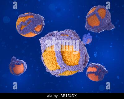 Illustrazione delle molecole di lipoproteine a bassa densità (LDL) o colesterolo "cattivo". Sono costituiti da un nucleo di molecole di colesterolo esterificato circondato da un guscio di colesterolo non esterificato e fosfolipidi (arancio). La struttura complessa include proteine portanti note come proteine APO-B (viola), che aiutano il trasporto nel sangue. Quando ci sono alti livelli di colesterolo LDL nel sangue si accumula ai lati dei vasi sanguigni induriendoli, una condizione chiamata aterosclerosi. Ciò restringe i vasi sanguigni e può bloccarli. Foto Stock