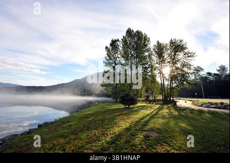 La luce del sole mattutina attraversa alti alberi accanto a un lago nebbioso, gettando lunghe ombre sull'erba di dewy con la nebbia che scorre dolcemente attraverso l'acqua calma. Foto Stock