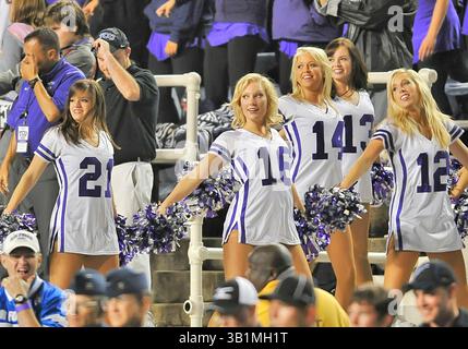 23 ottobre 2010: . TCU Cheerleaders nel action.in una partita tra Air Force Falcons e TCU Horned Frogs all'Amon G. Carter Stadium di Fort Worth, Texas..TCU vince 38-7...(Credit Image: Â© Manny Flores/Cal Sport Media)(Credit Image: © Manny Flores/Cal Sport Media/ZUMApress.com) Foto Stock