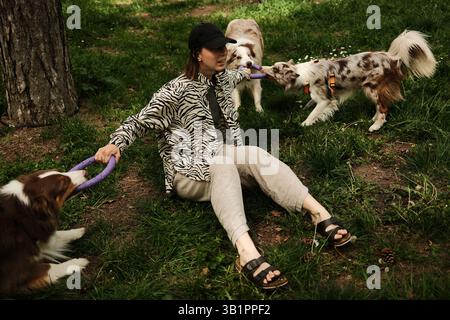 Donna seduta sull'erba che gioca a tiro di guerra con tre cani energici - il pastore australiano tricolore marrone e due merle Border Collies rossi - in uno sperone Foto Stock