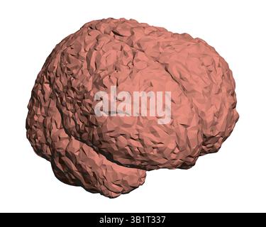 Un cervello viene mostrato in un modello 3D, con una trama ruvida e un colore rossastro. Il cervello è raffigurato come un oggetto solido, senza dettagli o caratteristiche visibili Illustrazione Vettoriale