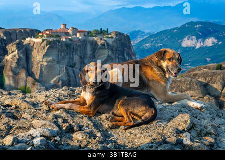 I cani di fronte al monastero della Santissima Trinità o al monastero di Agia Triada in greco sono uno dei monumenti più fotografati di Meteora. E' riflessivo Foto Stock