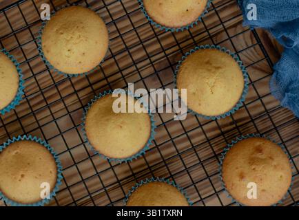 I cupcake dorati si raffreddano su una griglia metallica, appena sfornati in carta colorata Foto Stock