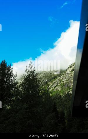 Yukon Ferrovia scendendo dal bianco passano nei pressi di Skagway Alaska USA Foto Stock