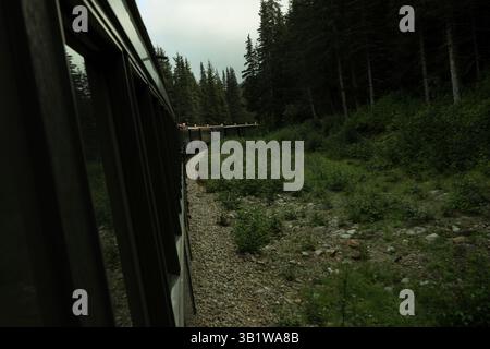 Yukon Ferrovia scendendo dal bianco passano nei pressi di Skagway Alaska USA Foto Stock