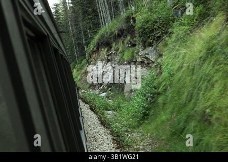 Yukon Ferrovia scendendo dal bianco passano nei pressi di Skagway Alaska USA Foto Stock