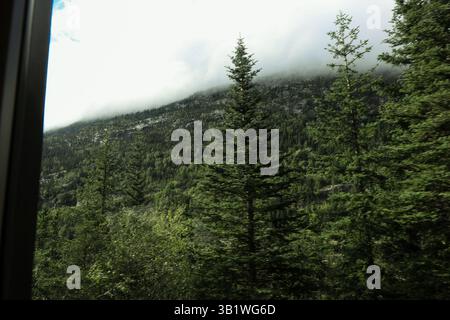 Yukon Ferrovia scendendo dal bianco passano nei pressi di Skagway Alaska USA Foto Stock