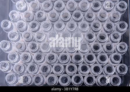 Vista ravvicinata, fiale di vetro vuote in laboratorio chimico. Scienza, medicina, esperimento, chimica, ricerca e concetto sanitario Foto Stock