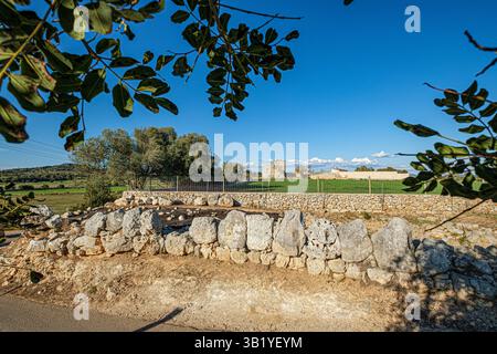 Muro di es Pou Celat, periodo talayotico (1300-123 a.C.), resti di un antico insediamento talayotico fortificato, Porreres, regione di es Pla, Maiorca, Spagna. Foto Stock