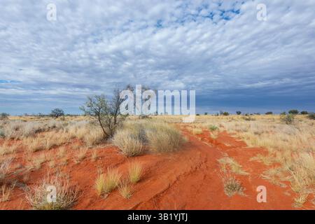 Vista panoramica del deserto Simpson lungo l'Hay River Track, Northern Territory, NT, Australia Foto Stock