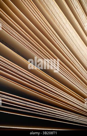 Vecchie pagine di libri antichi Biblioteca collezione d'annata Scienza e storia sfondo pallido di colore biege Foto Stock