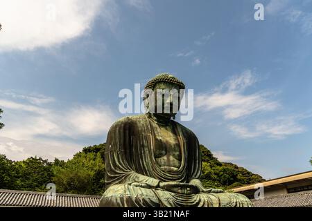 Kamakura, Giappone - 5 agosto 2024: Vista ravvicinata dell'iconica statua del grande Buddha a Kamakura, Giappone, adagiata su un bellissimo cielo blu e una lussureggiante greene Foto Stock