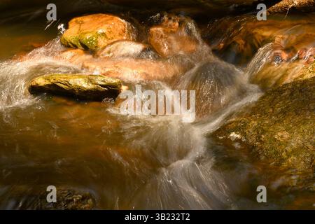 Primo piano su un piccolo ruscello che scorre oltre le rocce. Foto Stock