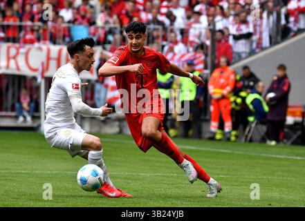26 aprile 2025, Allianz Arena, Monaco di Baviera, GER, 1.FBL, FC Bayern Monaco vs 1.FC FSV FSV Mainz 05, nella foto Paul Nebel (Mainz), Aleksandar Pavlovic (Monaco) le normative DFL vietano qualsiasi uso di fotografie come sequenze di immagini e/o quasi-video. Foto Stock