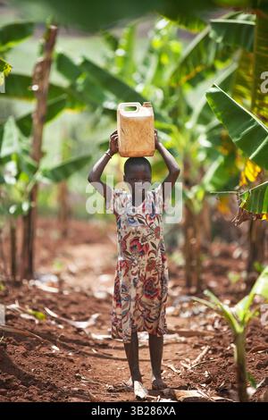 22 settembre 2009 - Muyenga, Burundi - in Burundi, molte nuove scuole e case sono attualmente in costruzione dopo la pace. Mezzo milione di persone del Burundi fuggirono durante la guerra (2003-2006) in Tanzania, ma quasi tutti tornarono trovando il loro paese a pezzi. Gli edifici sono realizzati con mattoni di fango di produzione locale, bruciati in semplici forni di legno. (Immagine di credito: © Ton Koene/ZUMA Press) Foto Stock