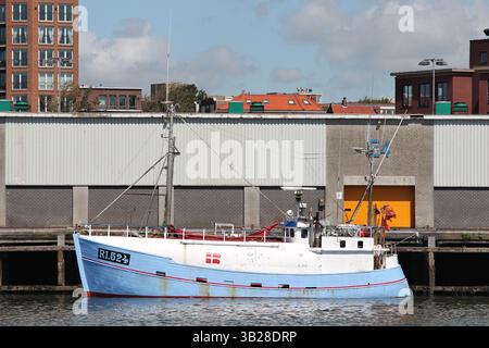 Peschereccio RI 524 Ingrid Frich nel porto di Ijmuiden, Paesi Bassi Foto Stock